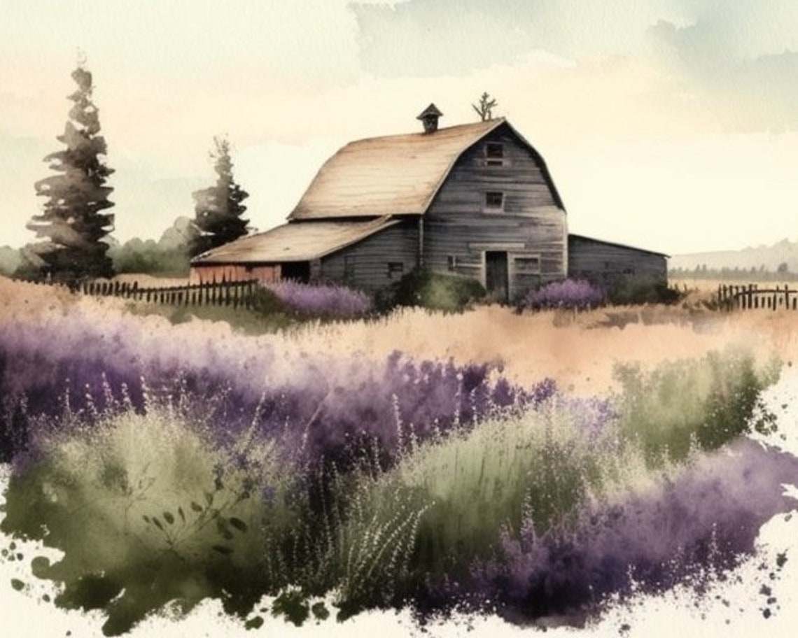 Lavender Fields Landscape Art Print