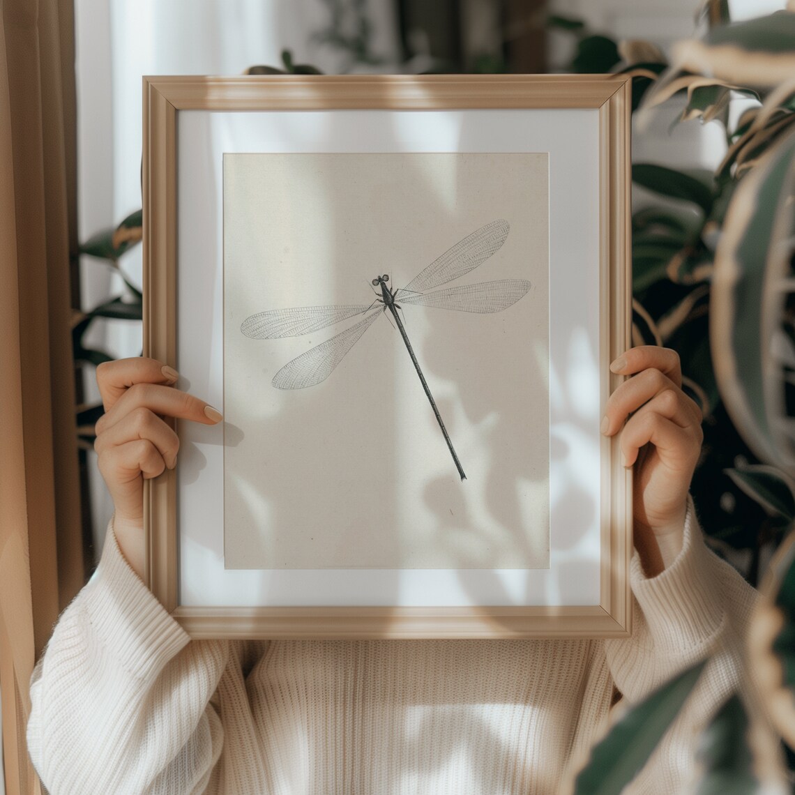 Dragonfly Vintage Insect Art Print, Rustic Farmhouse - Image 4