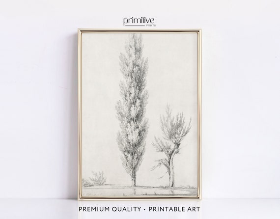 Antique Tree Art Sketch, Vintage Minimalist Decor