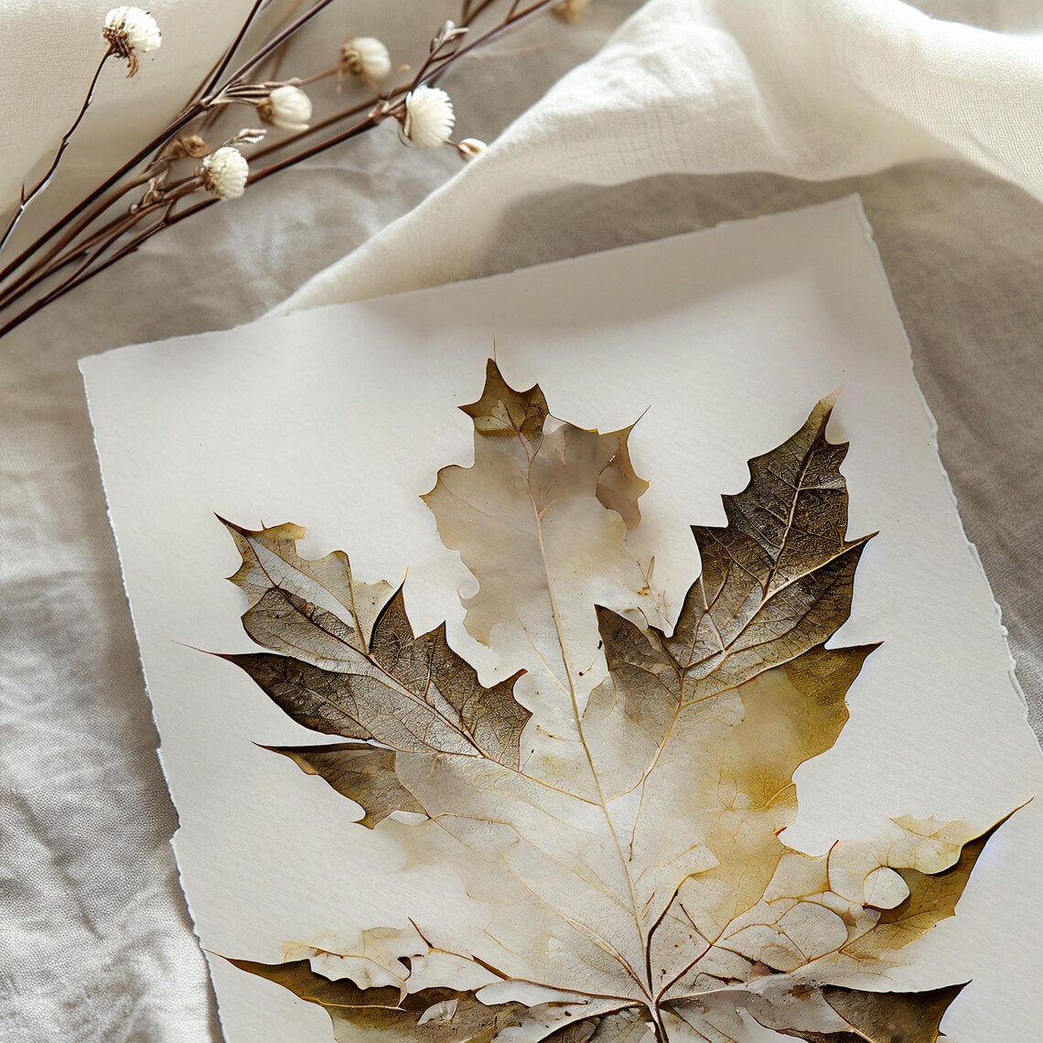 Autumn Leaf Print, Antique Seasonal Botanical - Image 2