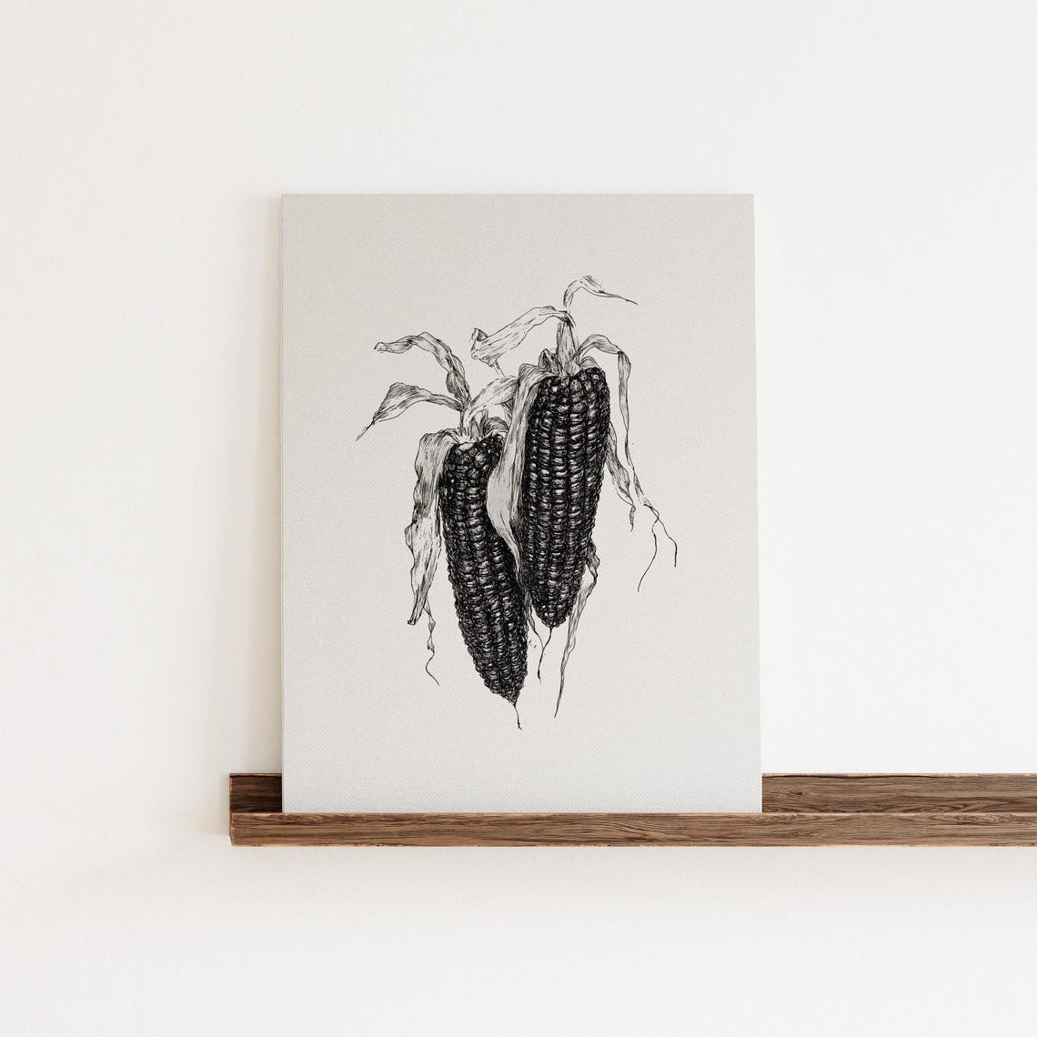 Black Heirloom Corn Ears Ink Botanical Vintage Illustration Poster - Image 4