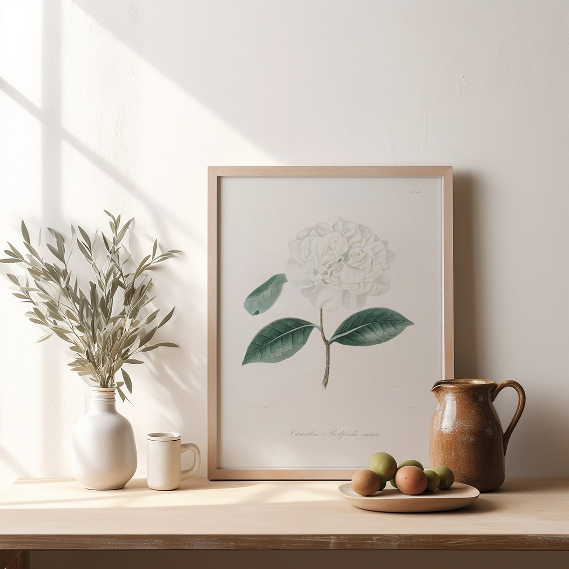 White Camellia Botanical Illustration Vintage Flower Art Poster - Image 4
