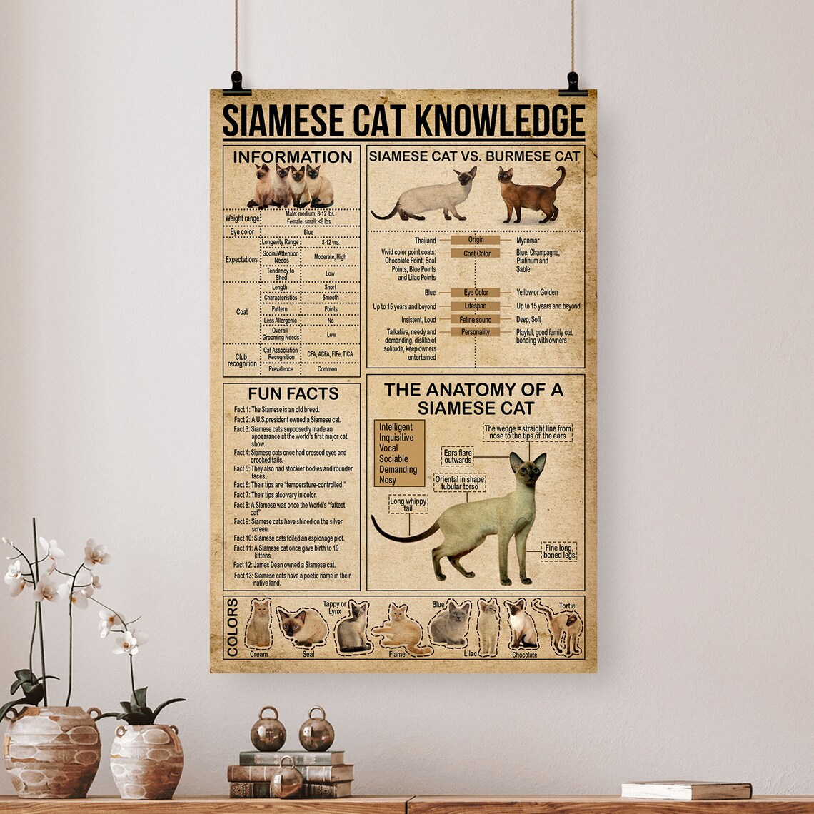 Siamese Cat Knowledge Vintage Poster Decor