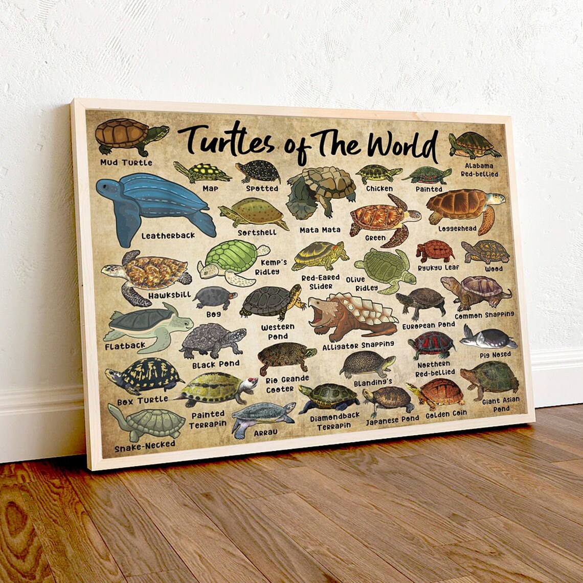 Turtles of the World Illustrated Species Identification Chart Poster - Image 4