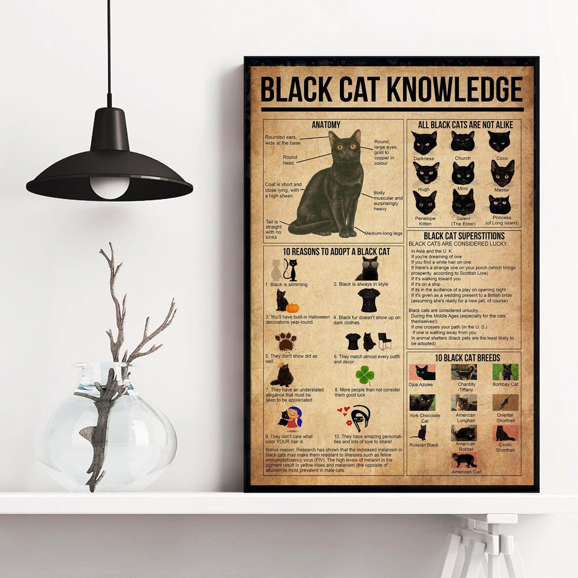Black Cat Knowledge Poster, Vintage Cat Poster - Image 4