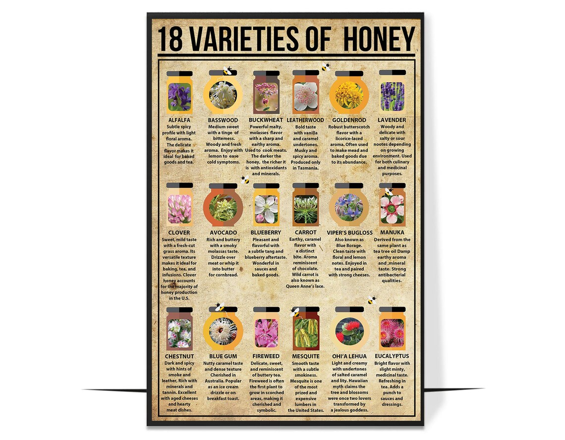 18 Varieties of Honey Vintage Illustrated Beekeeping Chart Poster