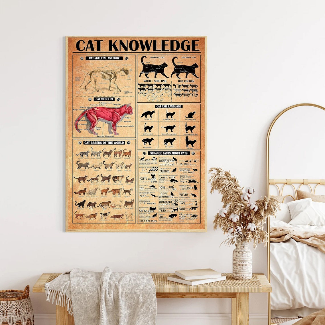Cat Knowledge Anatomy Breeds and Tail Language Vintage Poster - Image 3