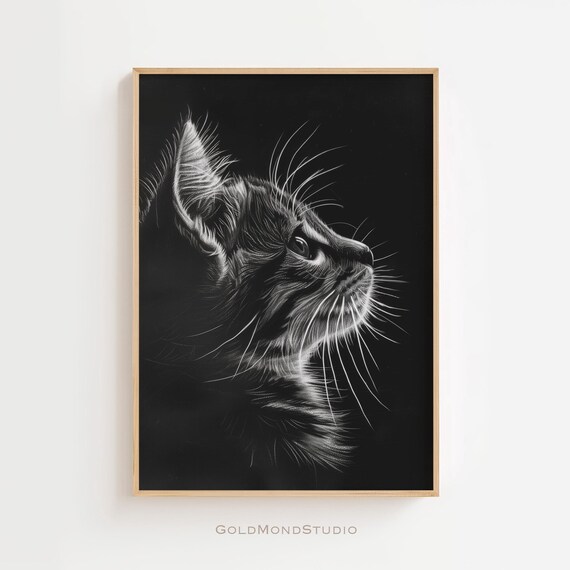 Tabby Cat Looking Up Black Background Monochrome Portrait Poster