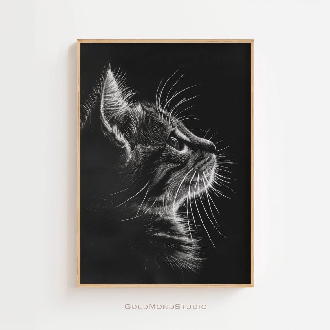 Tabby Cat Looking Up Black Background Monochrome Portrait Poster