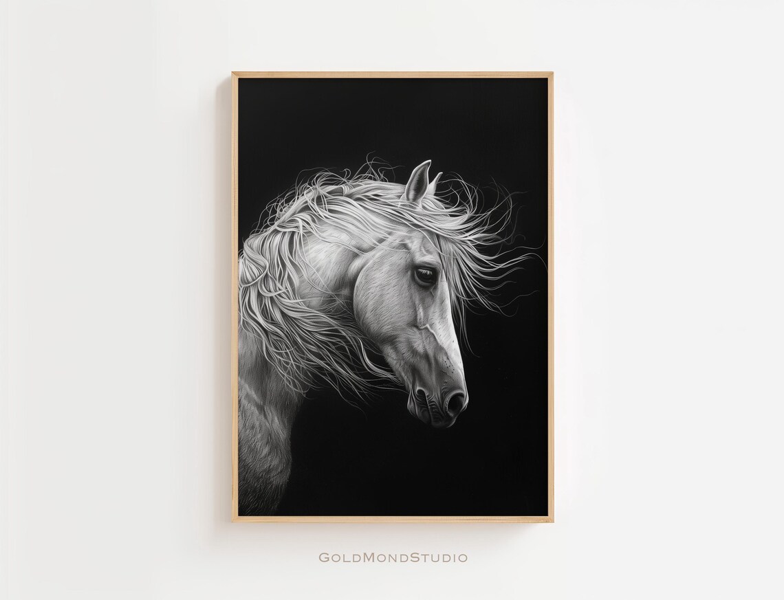Majestic White Horse Black Background Monochrome Portrait Poster