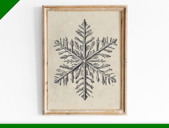 Vintage Botanical Snowflake Pencil Sketch Cream Background Poster
