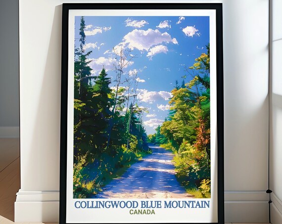 Collingwood Blue Mountain Forest Trail Sun Dappled Trees Nature Travel Poster