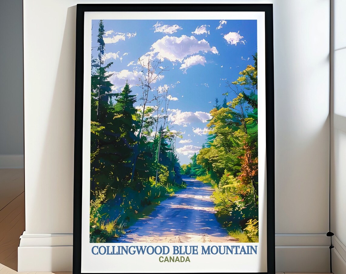 Collingwood Blue Mountain Forest Trail Sun Dappled Trees Nature Travel Poster