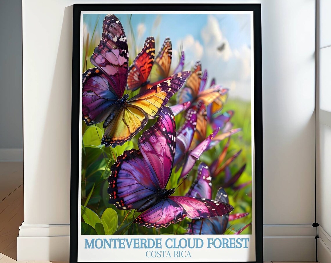 Monteverde Costa Rica Colorful Butterflies in a Sunny Meadow Poster