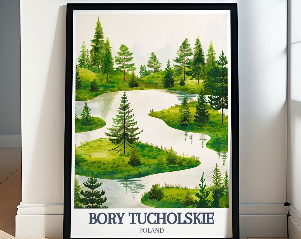 Bory Tucholskie Winding River Through Green Pine Forest Poster