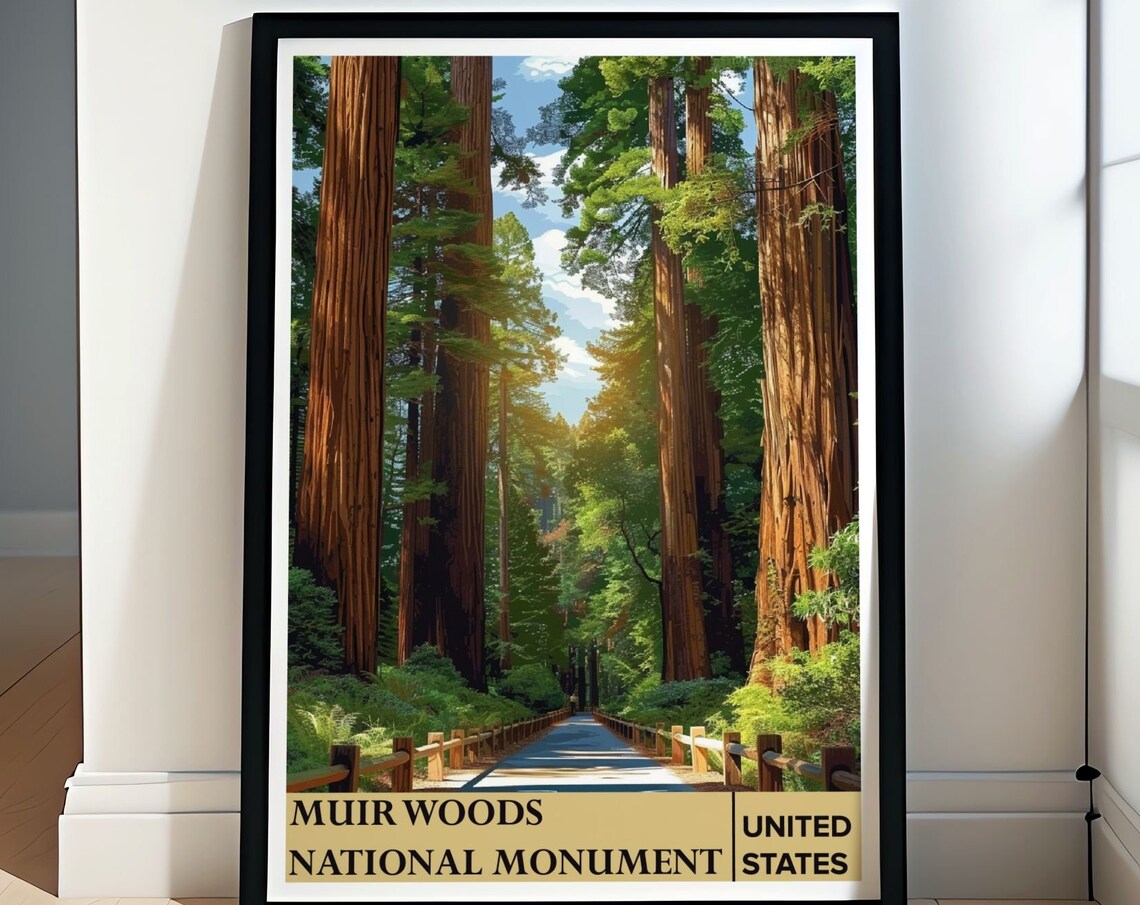 Muir Woods National Monument Travel Poster, Trails Decor
