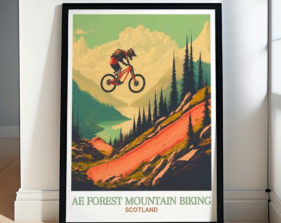 Ae Forest Mountain Biking Posters Ae Forest Skills Area Prints Ae Forest Mountain Biking Art And Prints Ae Forest Skills Area Decor