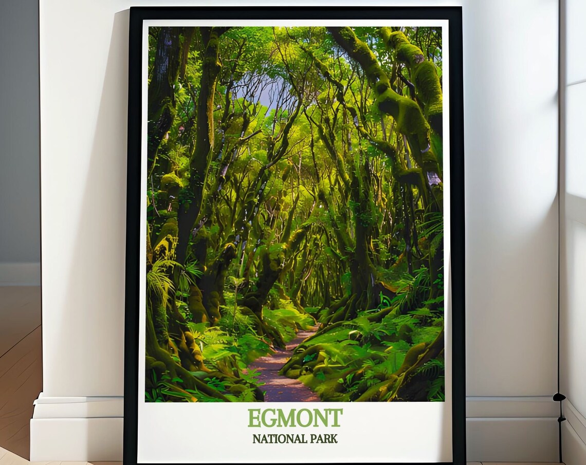 Egmont National Park New Zealand Lush Mossy Forest Trail Poster