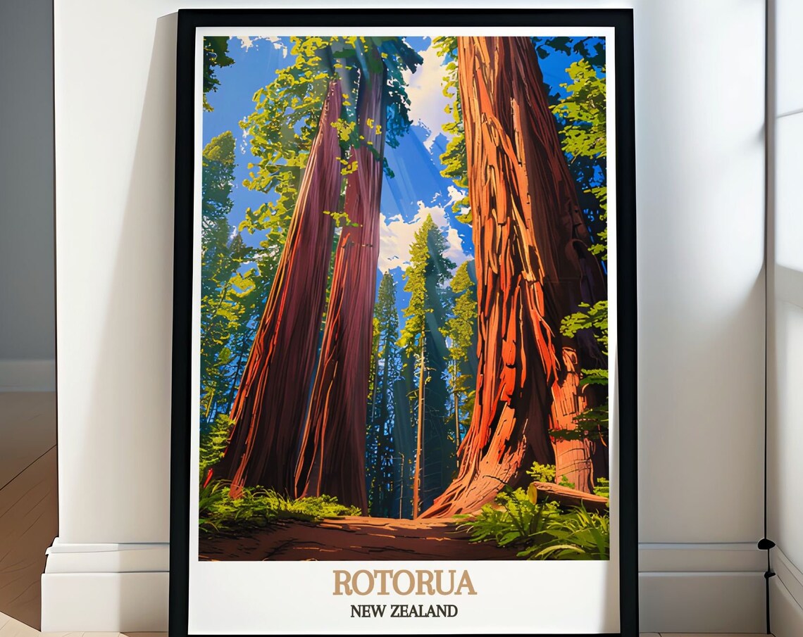 Rotorua New Zealand Towering Redwood Forest Travel Art Poster