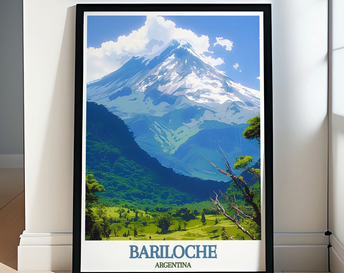 Bariloche Argentina Tronador Volcano Snowy Peak Valley Poster