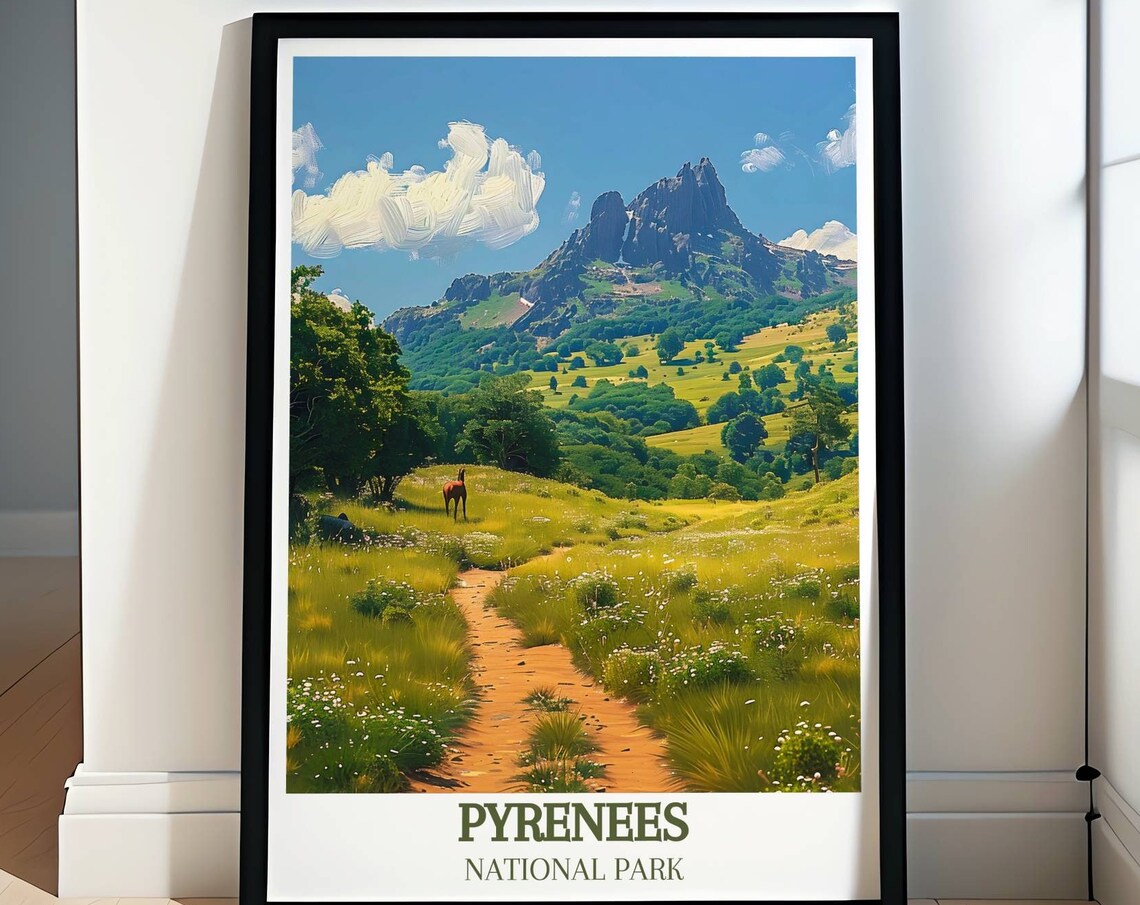 Pyrenees National Park Alpine Meadow Trail Wildflower Peak View Poster