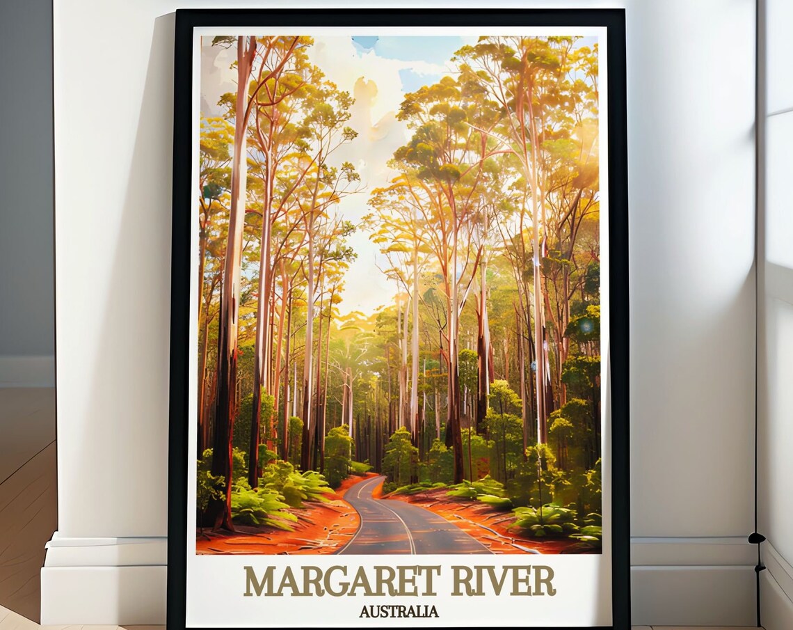 Boranup Karri Forest Tall Trees Road near Margaret River Poster