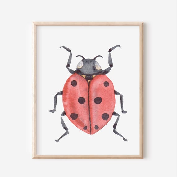 Ladybug Print Watercolor Insect Illustration Bug Drawing Artwork Kids Room Decor Nature Inspired Whimsical