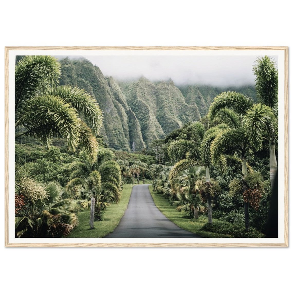 Hawaii Photography Print, Lush Tropical Rainforest