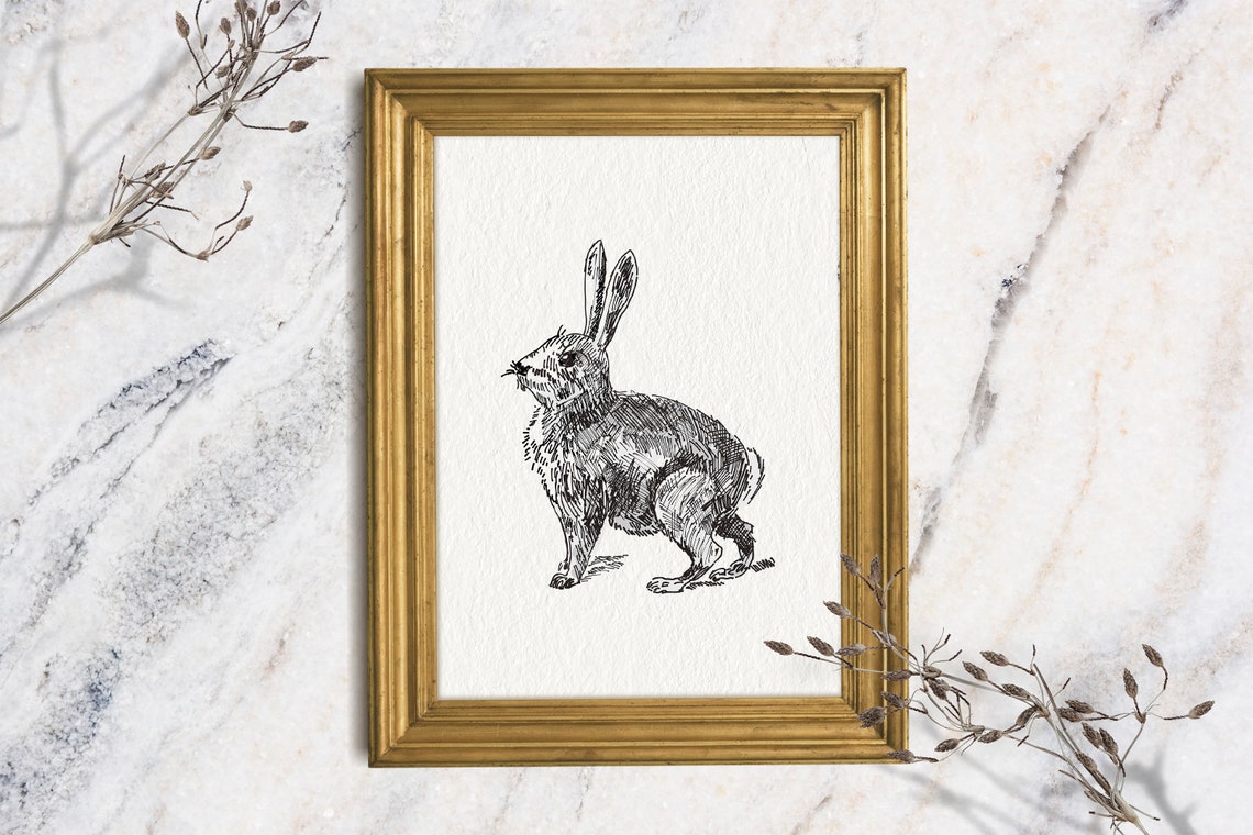 Bunny Ink Sketch Seated Rabbit Minimalist Farm Animal Wall Decor Print