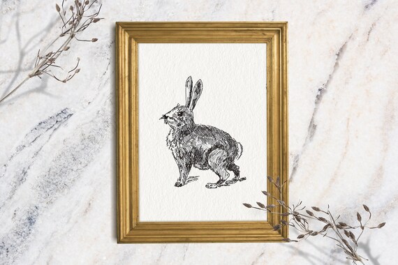 Bunny Ink Sketch Seated Rabbit Minimalist Farm Animal Wall Decor Print