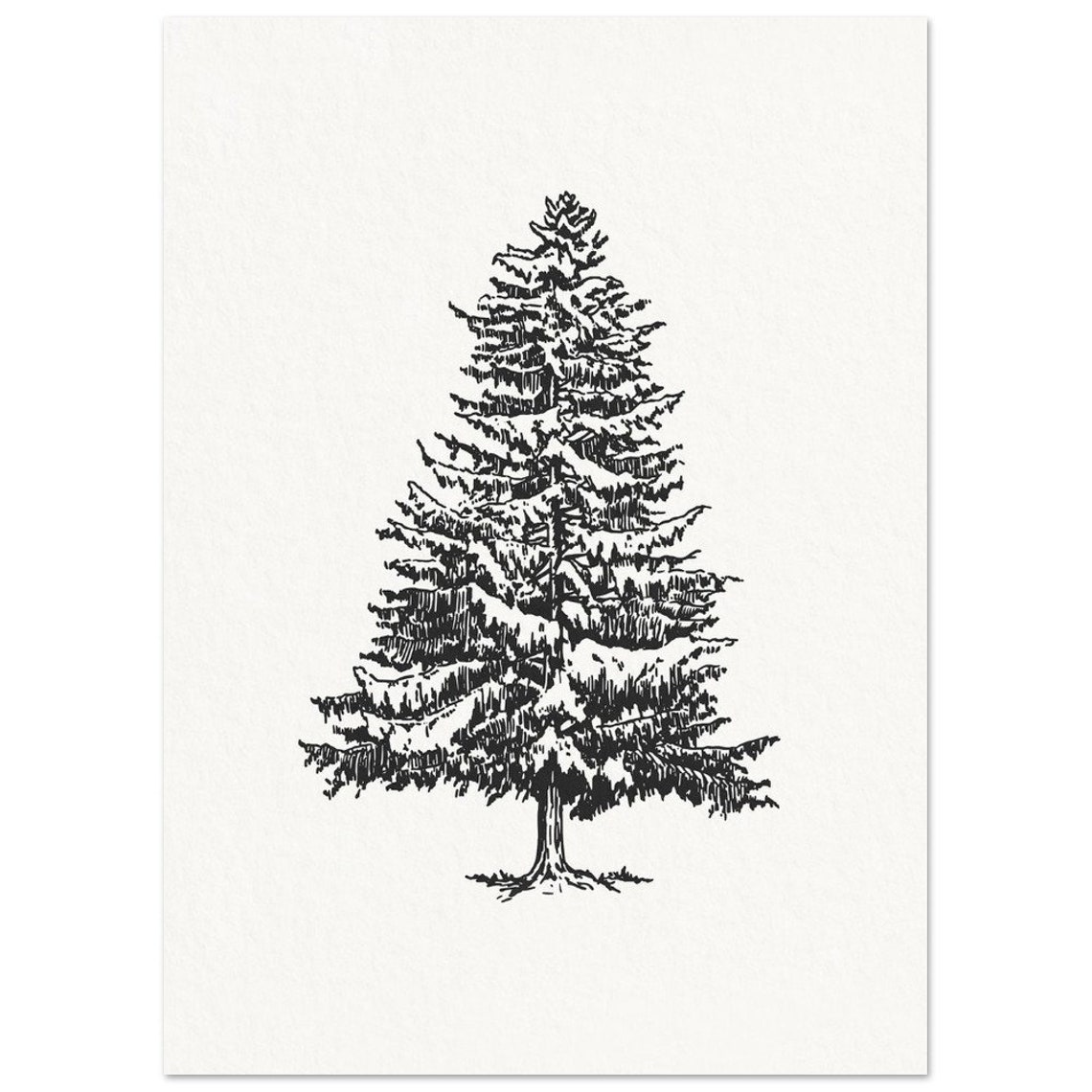 Minimalist Pine Tree Ink Sketch Black And White Winter Art Poster - Image 3