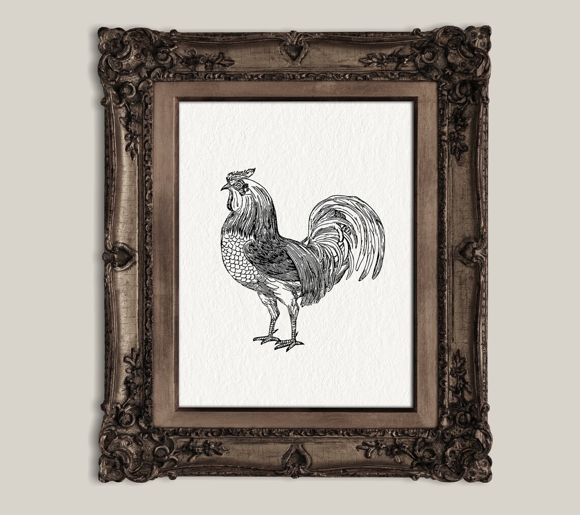 Rooster Art Print Vintage Ink Sketch Original Rooster Drawing Minimalist Farmhouse Drawing Country Kitchen Wall Art French Country Art - Image 2