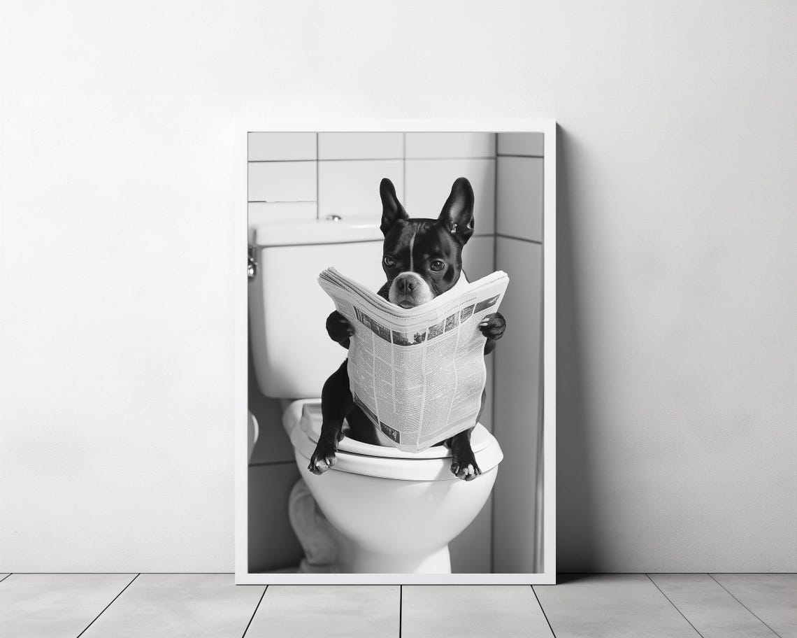 Boston Terrier On Toilet Reading Newspaper Funny Photo Poster - Image 3