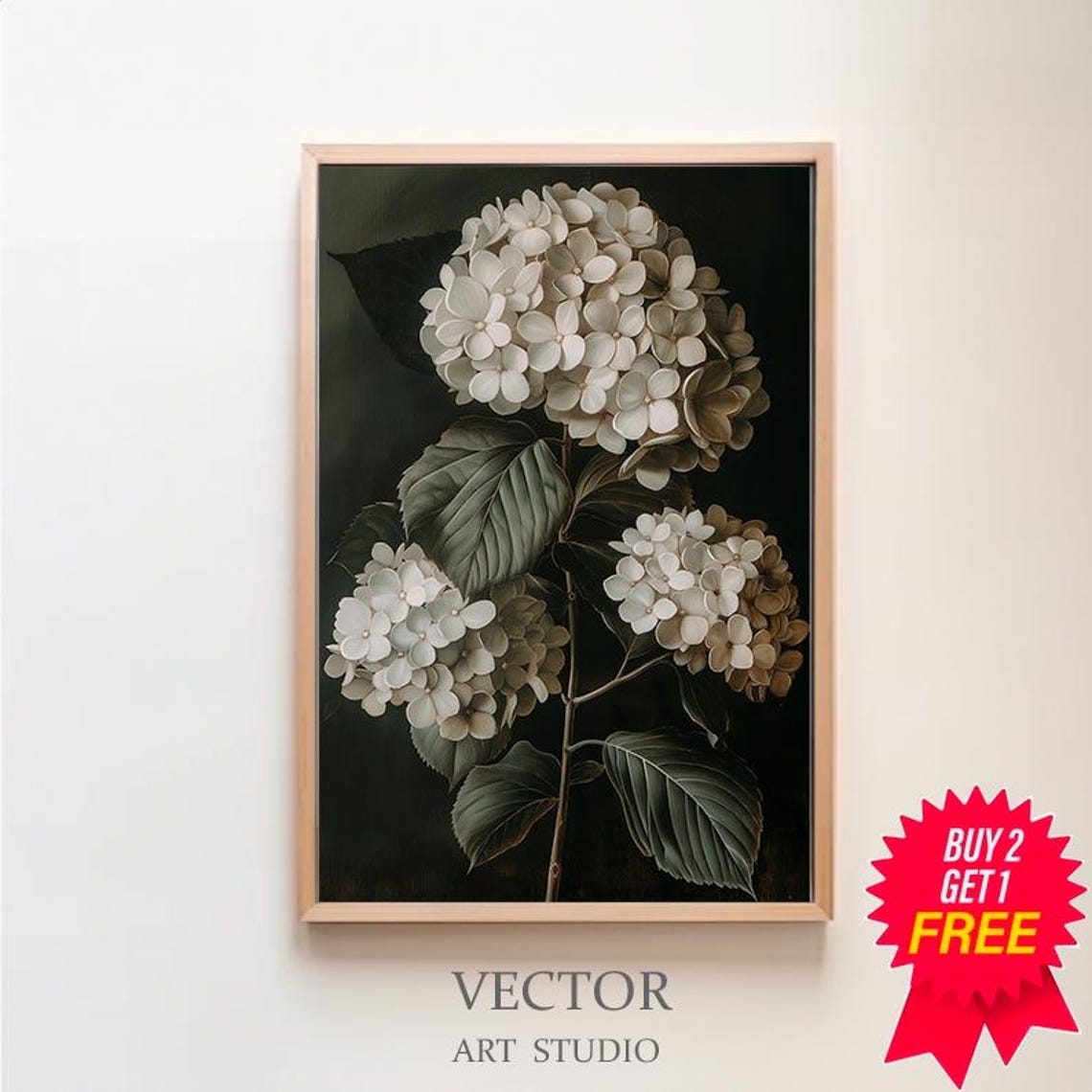 Classic White Hydrangea Trio in Bloom on Dramatic Black Poster