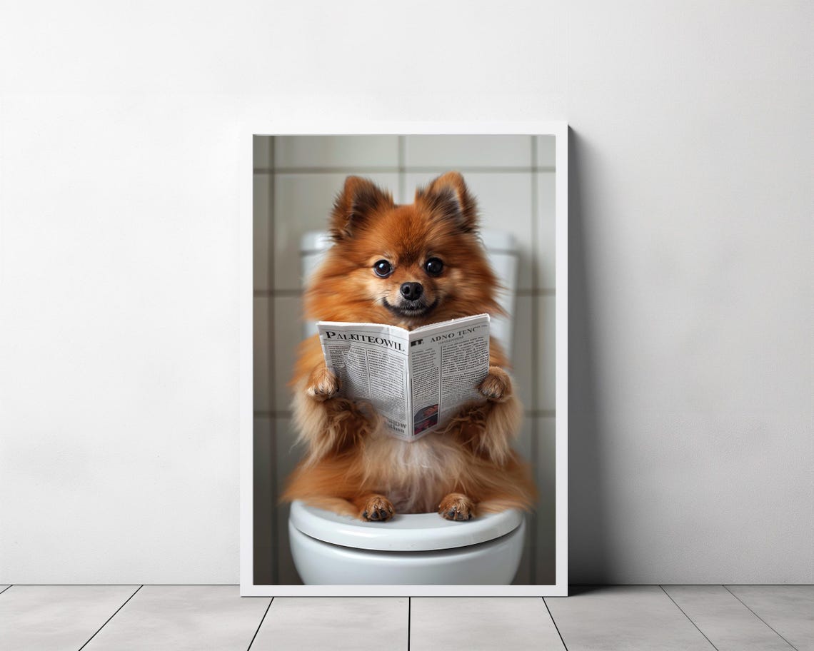 Pomeranian Wall Art Funny Bathroom Decor Pomeranian In Toilet Animal In Toilet Petshop Art Dog Art Pomeranian Gift - Image 3