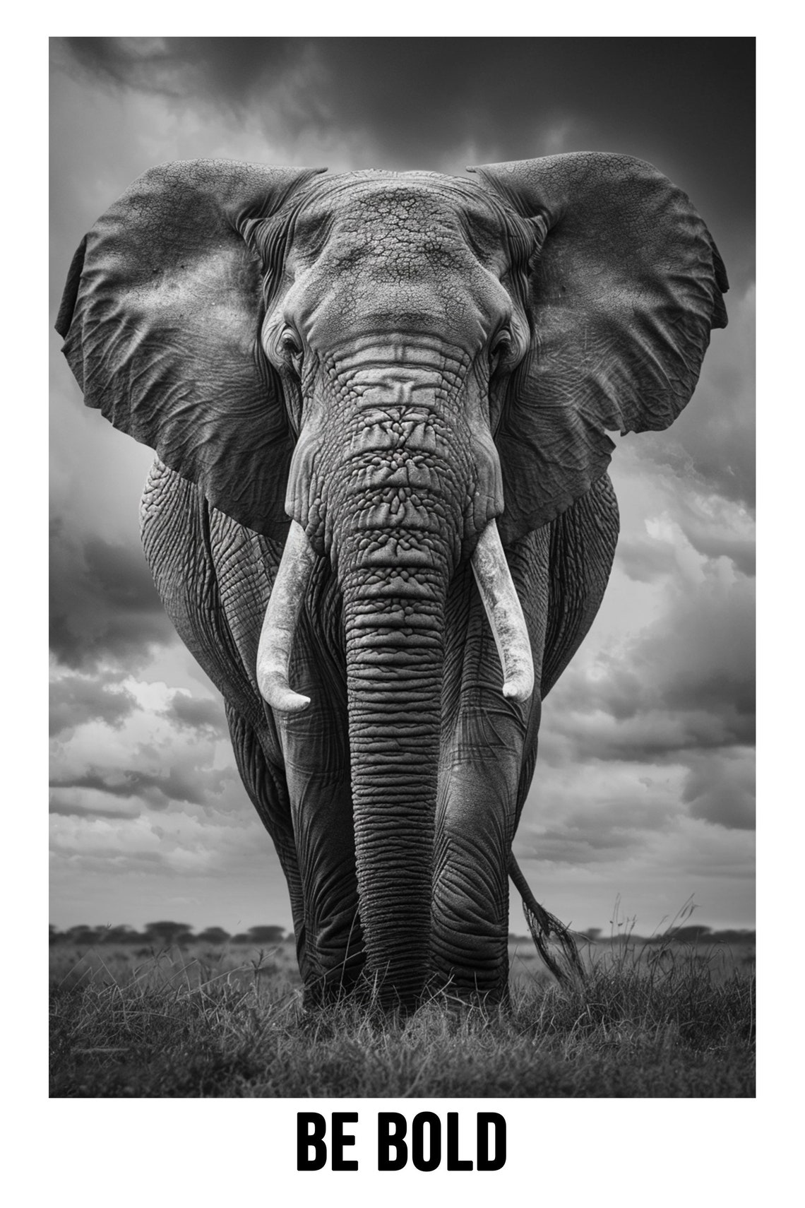 Majestic African Elephant Facing Forward Be Bold Black White Poster - Image 2