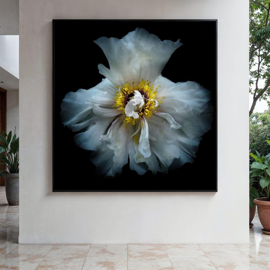 White Peony Bloom Close Up on Black Elegant Floral Photography Poster