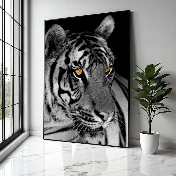 Majestic Tiger Closeup Amber Eyes Black White Wildlife Poster