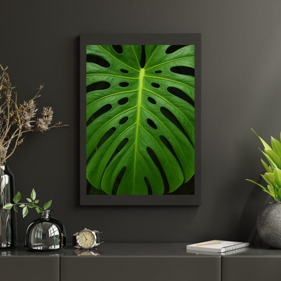 Tropical Jungle Wall Art Monstera Leaf Photography Green Botanical Natureinspired Home Decor