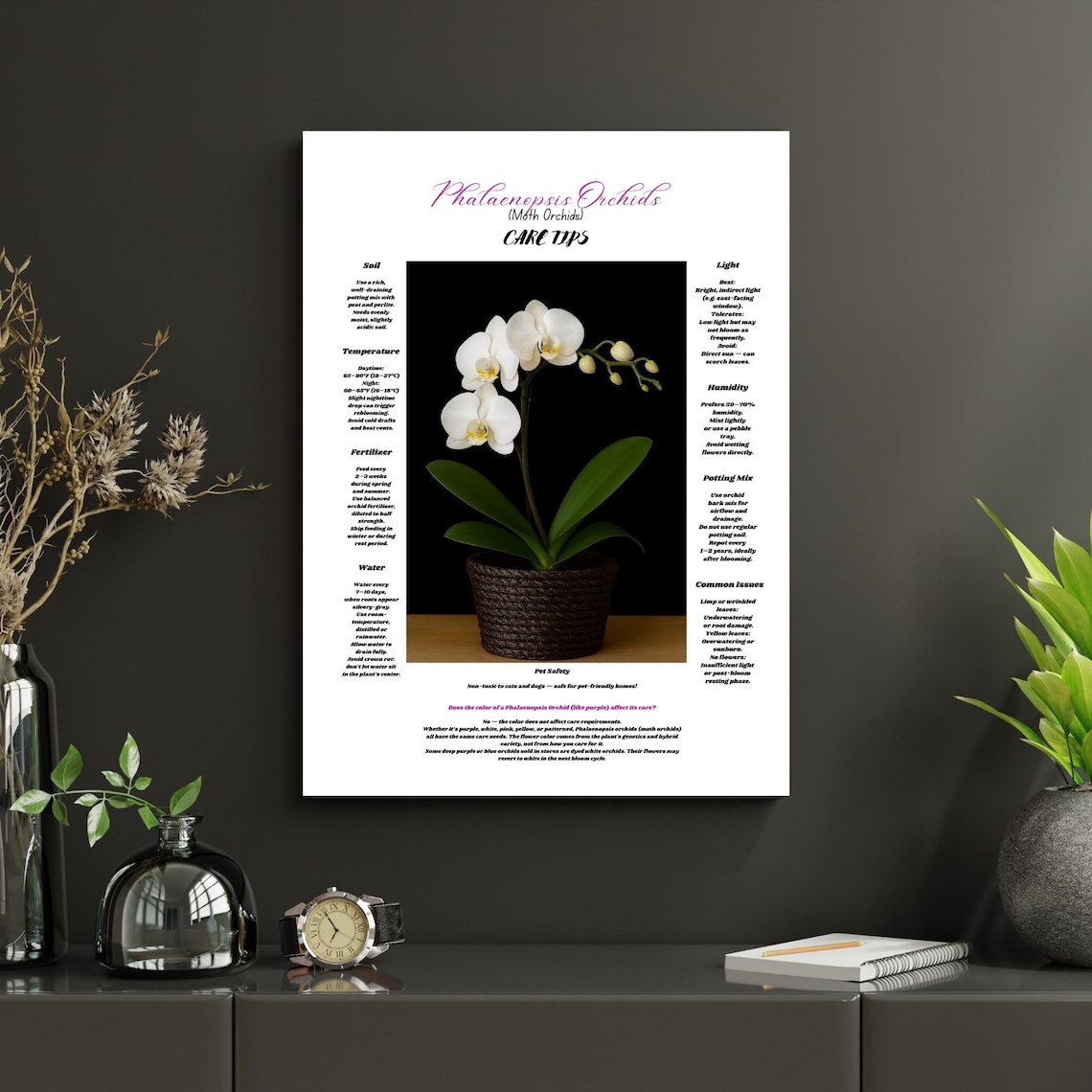 White Phalaenopsis Orchid Care Tips Wall Art Moth Guideindoor Plant Decor Botanical Poster