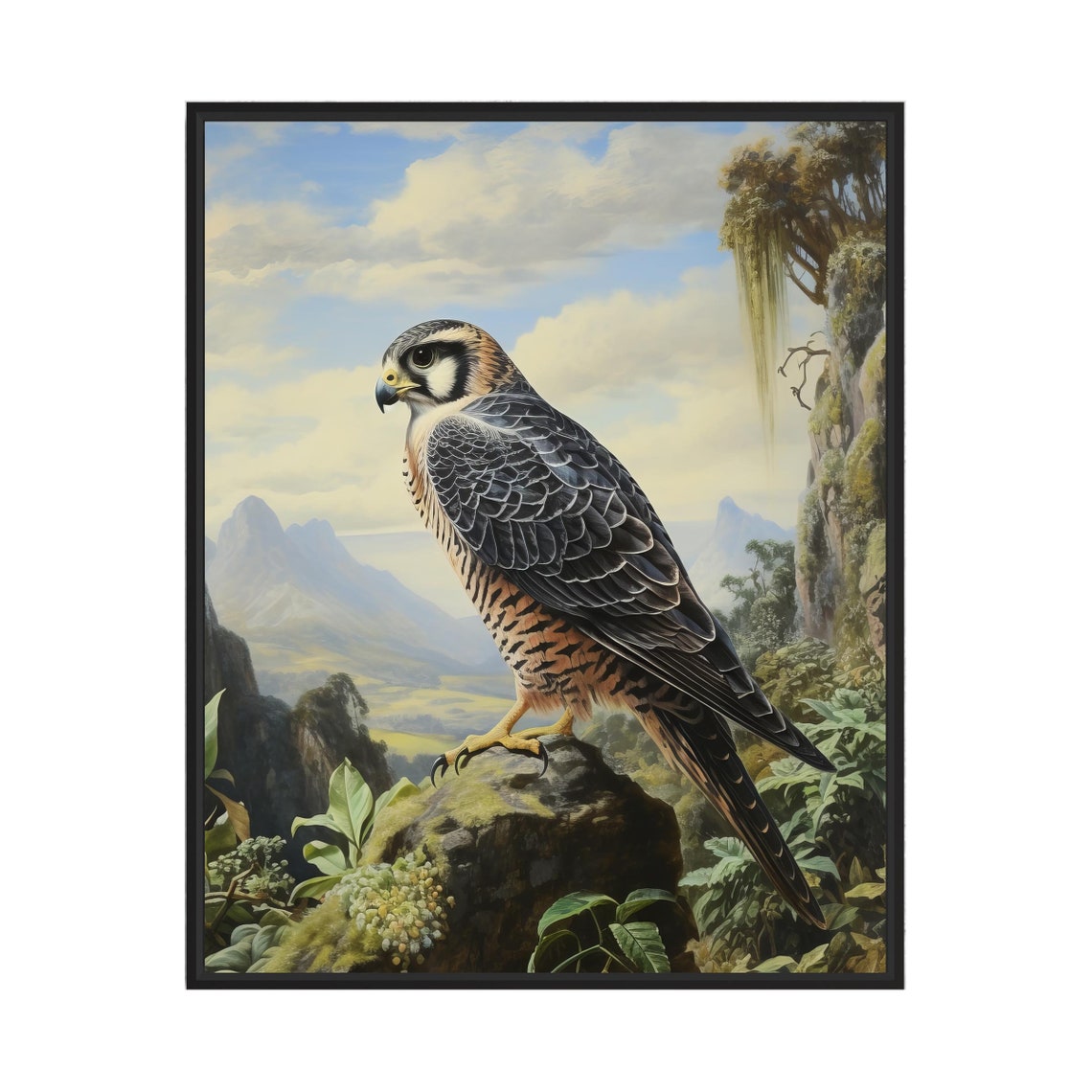 Lanner Falcon on a Mossy Rock in a Tropical Landscape Bird Poster