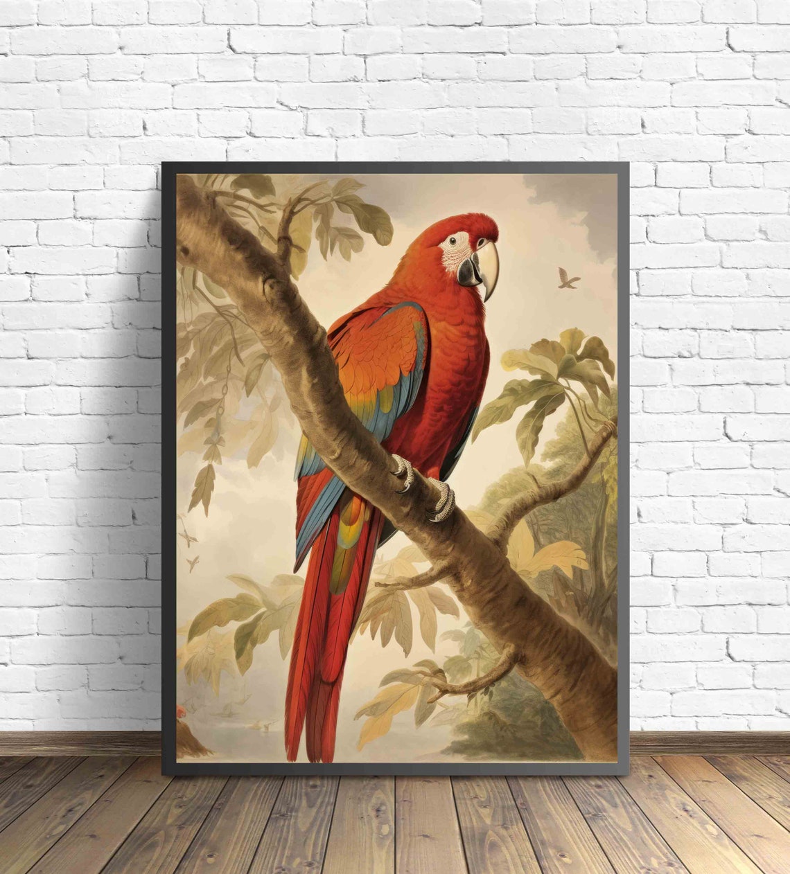 Scarlet Macaw Parrot Vintage Natural History Bird Artwork Poster