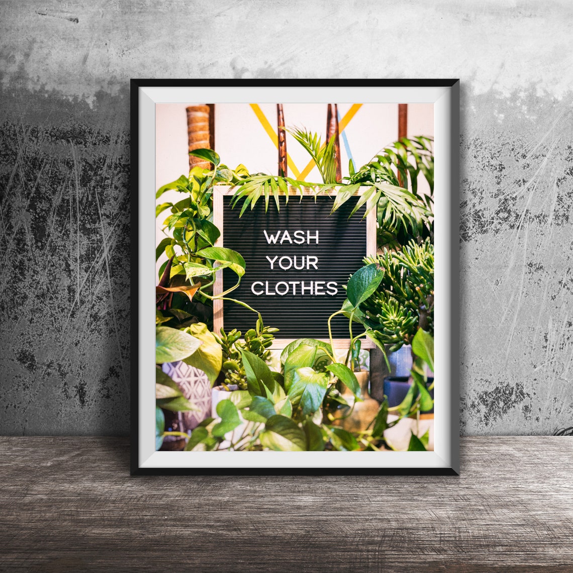 Wash Your Clothes Letter Board With Houseplants Photo Poster