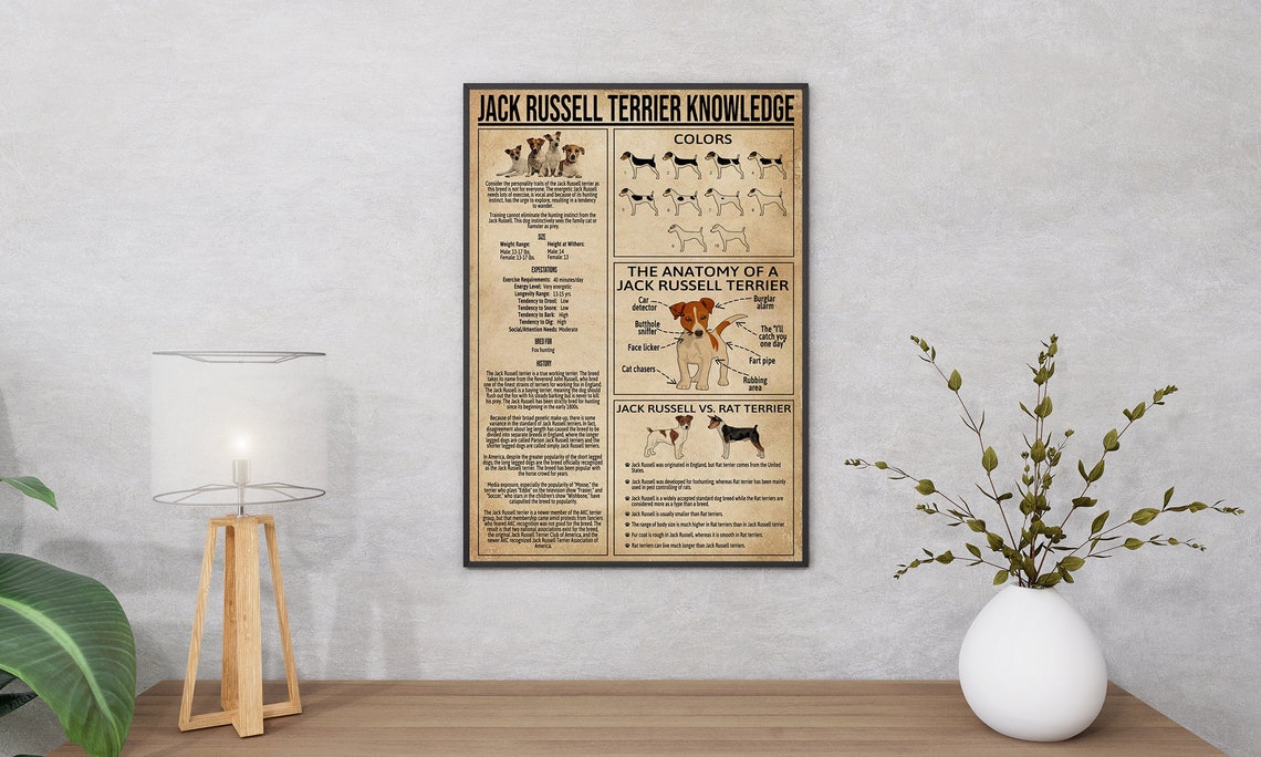 Jack Russell Terrier Knowledge Chart Funny Anatomy Guide Poster - Image 2