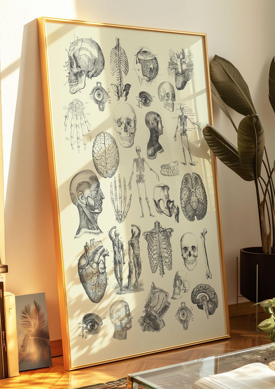 Vintage Human Anatomy Skeleton Bones Medical Chart Decor Poster - Image 3