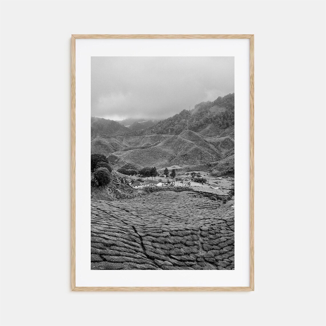 Cameroon Misty Mountain Farmland Terraces Highlands Black White Poster