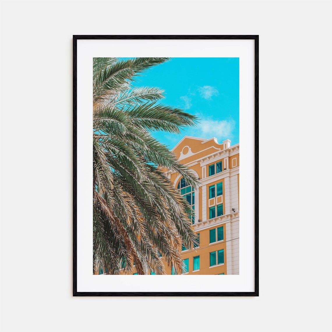 Coral Gables Palm Fronds Architecture Colorful Photography Poster