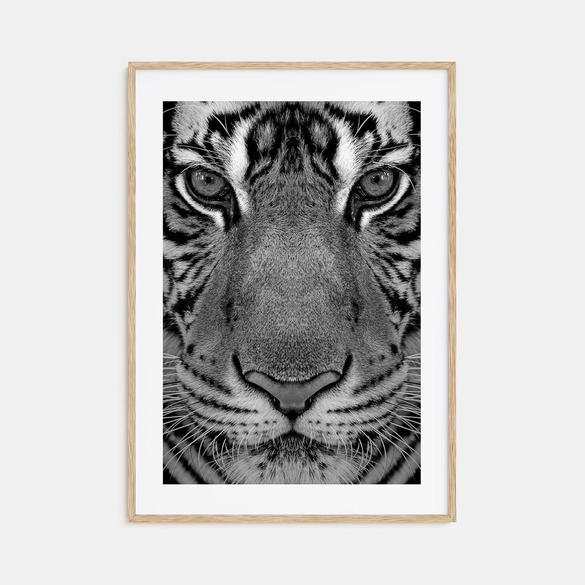 Tiger Face Extreme Close Up Eyes Black and White Photo Poster