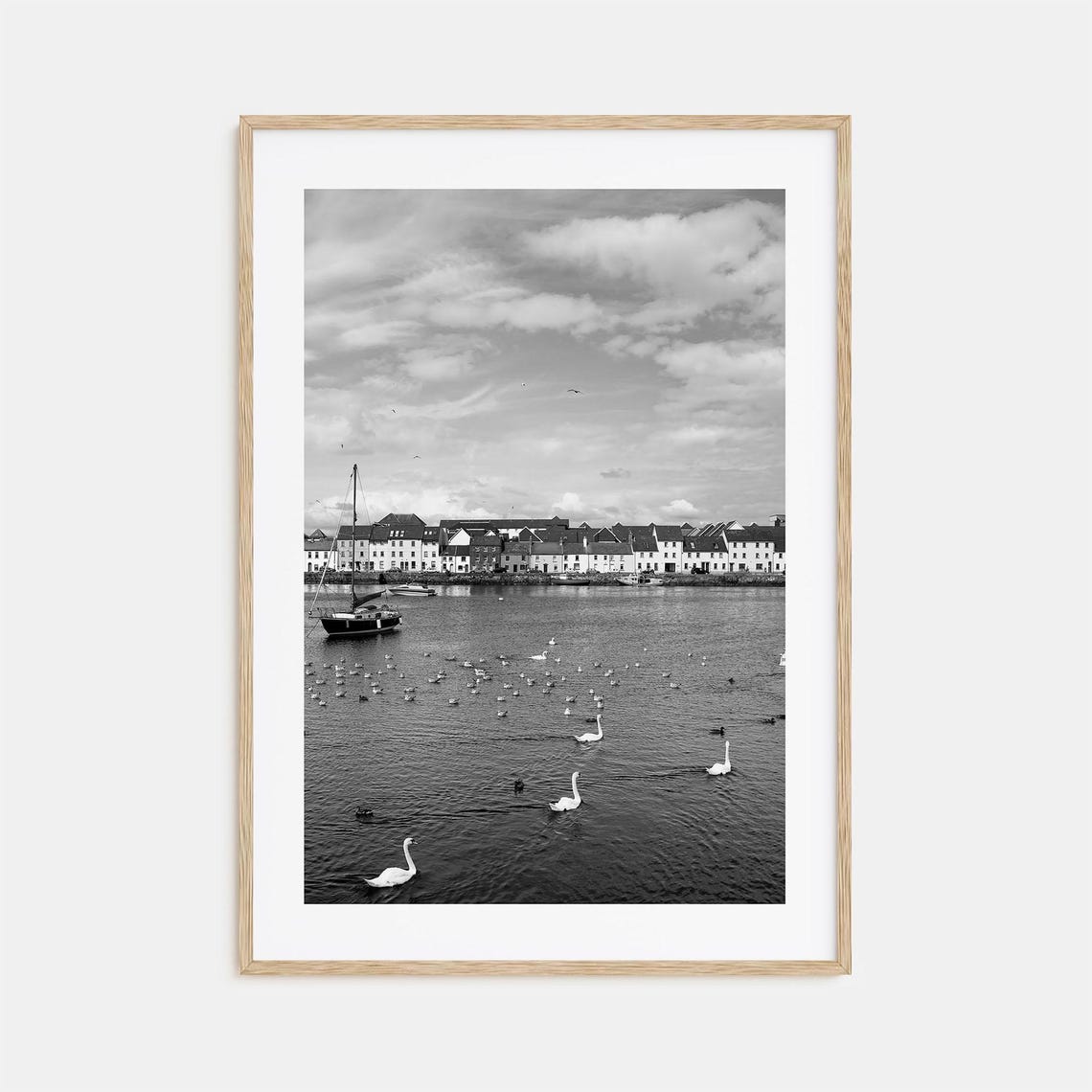 Galway Ireland Harbor Swans and Boats Black and White Poster