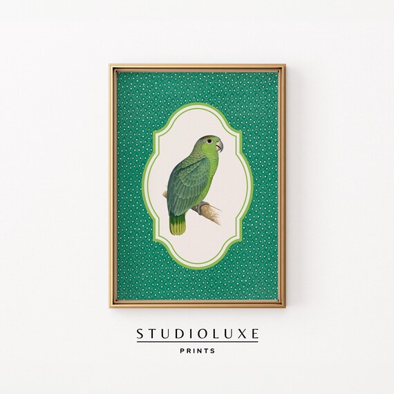 Green Parrot Wall Art Vintage Bird Print With Pattern Tropical Animal Decor Bold Gallery For Eclectic Spaces Coastal